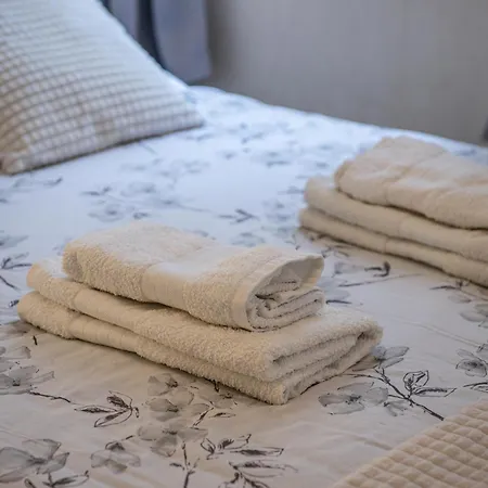 Cosy Eugenie Au Pied De L'opera Et Du Kiosque 비시